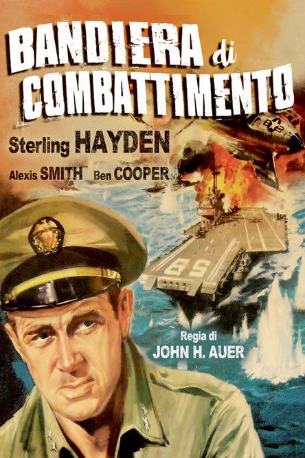 Bandiera di combattimento